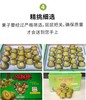 红阳 -红心猕猴桃礼盒装18颗果【FY】 商品缩略图4