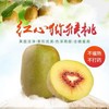 红阳 -红心猕猴桃礼盒装18颗果【FY】 商品缩略图0