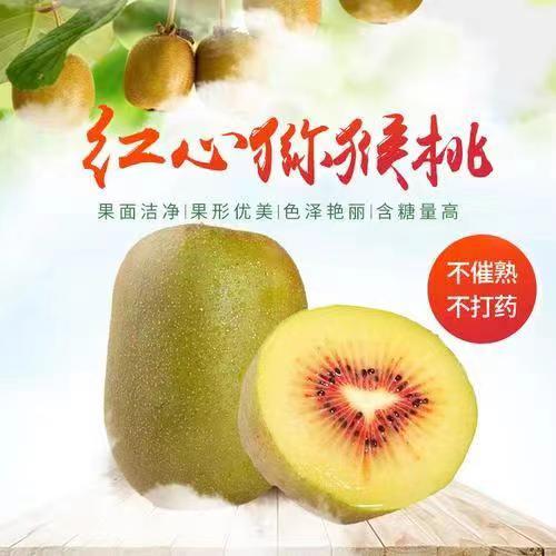 红阳 -红心猕猴桃礼盒装18颗果【FY】 商品图0