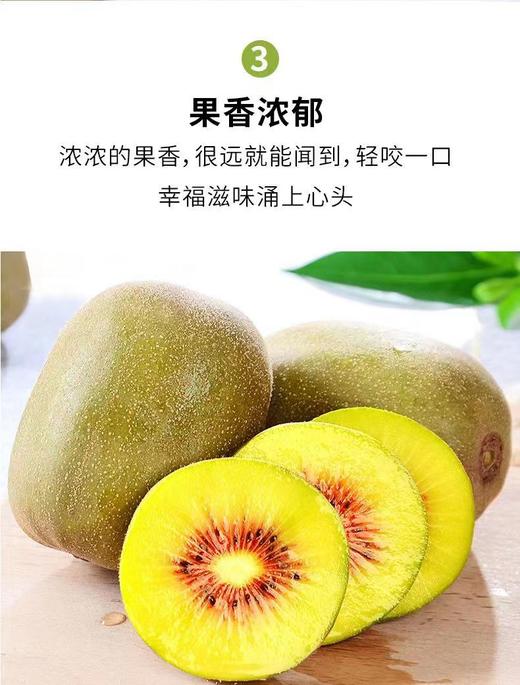 红阳 -红心猕猴桃礼盒装18颗果【FY】 商品图3