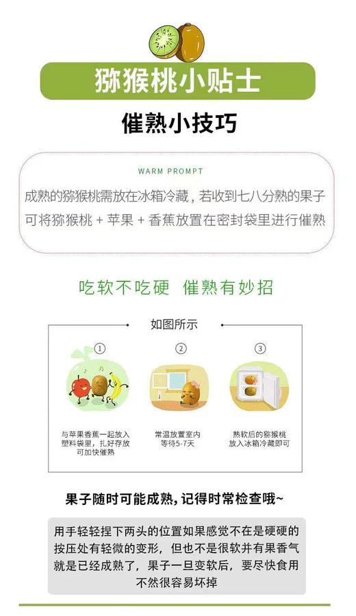 红阳 -红心猕猴桃礼盒装18颗果【FY】 商品图5