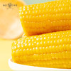 【秒杀】粹品沁采东北鲜食黄糯玉米礼盒2.2kg 商品缩略图2
