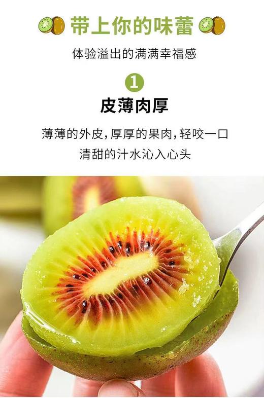 红阳 -红心猕猴桃礼盒装18颗果【FY】 商品图1