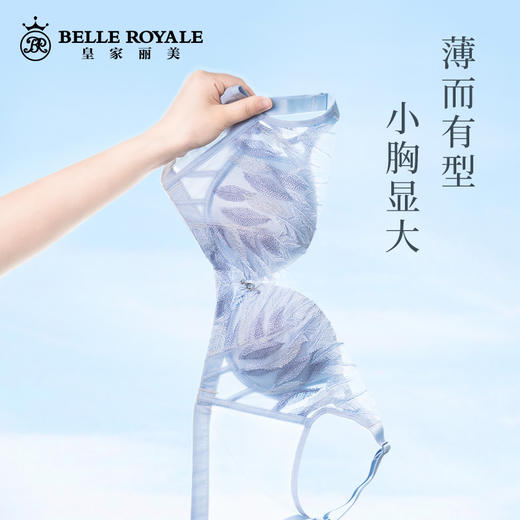 皇家丽美WW203羽毛刺绣款文胸聚拢收副乳无钢圈调整型文胸 商品图5