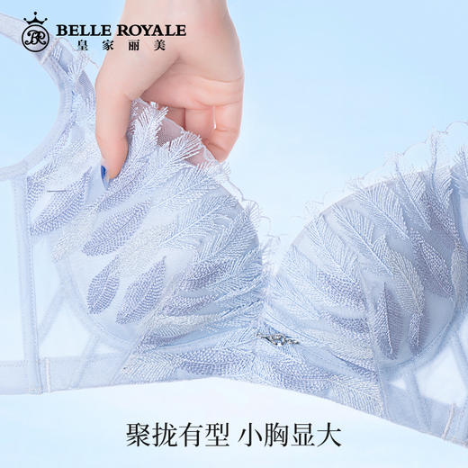 皇家丽美WW203羽毛刺绣款文胸聚拢收副乳无钢圈调整型文胸 商品图2