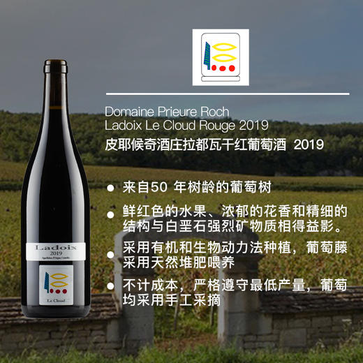 皮耶候奇酒庄拉都瓦干红葡萄酒 商品图1