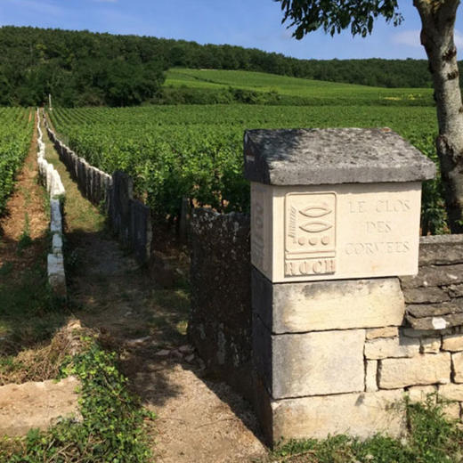 皮耶候奇酒庄拉都瓦干红葡萄酒 商品图3