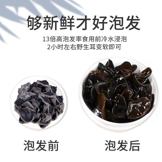 在菌屋 东北野生黑木耳干货150g 商品图5