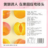 【满299减210】百草味-黄桃干60g 科学保留16%含水量，成就鲜嫩果肉 商品缩略图4