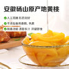 【满299减210】百草味黄桃罐头 312g  罐即食糖水罐头网红休闲零食 商品缩略图3
