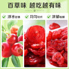 【满299减210】百草味蔓越莓干100g源自于美洲的“蔓妙滋味”酸甜开胃，果香馥郁 商品缩略图3