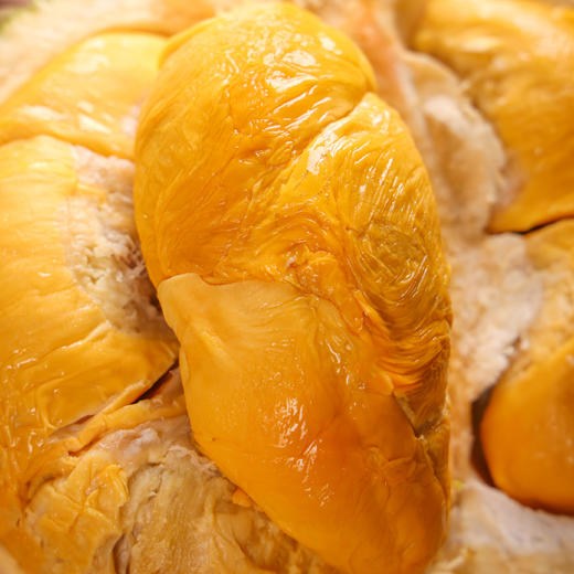 马来西亚黑刺榴莲D200 珍贵稀有 树上黄金 各规格保5房 商品图2