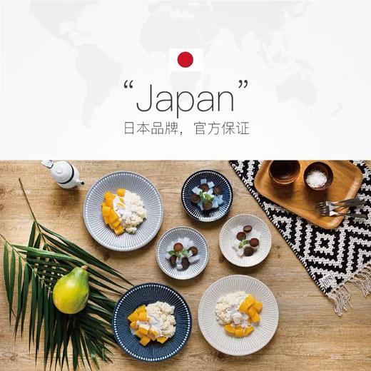 日本进口美浓烧 Albee灰十草 日式陶瓷饭碗盘子高级感西餐牛排盘深盘菜盘 商品图4