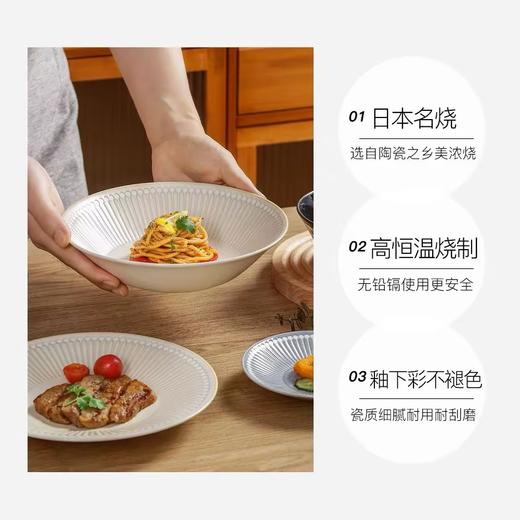 日本进口美浓烧 Albee灰十草 日式陶瓷饭碗盘子高级感西餐牛排盘深盘菜盘 商品图3