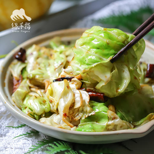 生态河北圆白菜（包菜） | 合作生产*Ecological Cabbage | Coproducted 商品图4