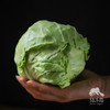 生态河北圆白菜（包菜） | 合作生产*Ecological Cabbage | Coproducted 商品缩略图5