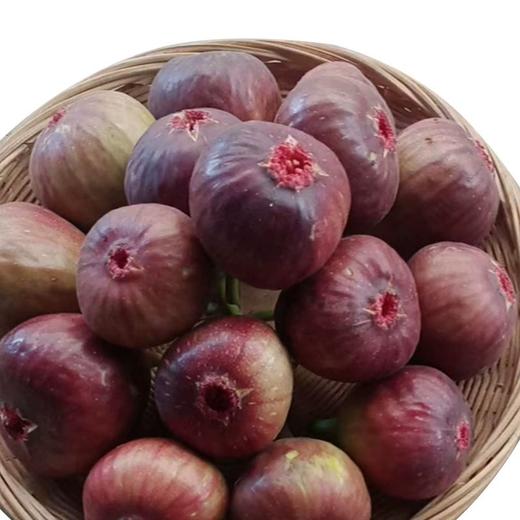 现摘土种无花果 商品图0