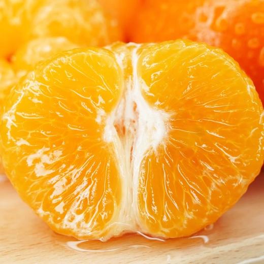 金秋砂糖橘1000g/份 商品图2