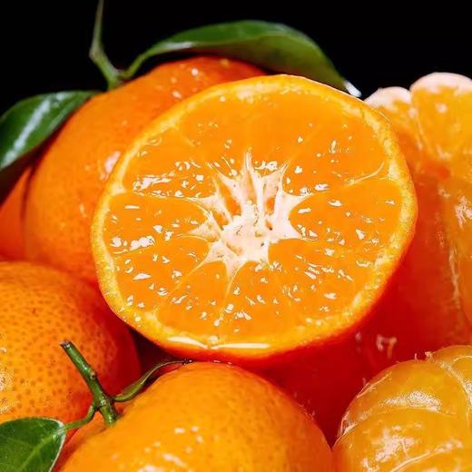 金秋砂糖橘1000g/份 商品图1