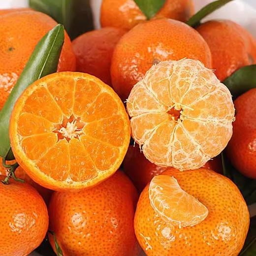 金秋砂糖橘1000g/份 商品图3