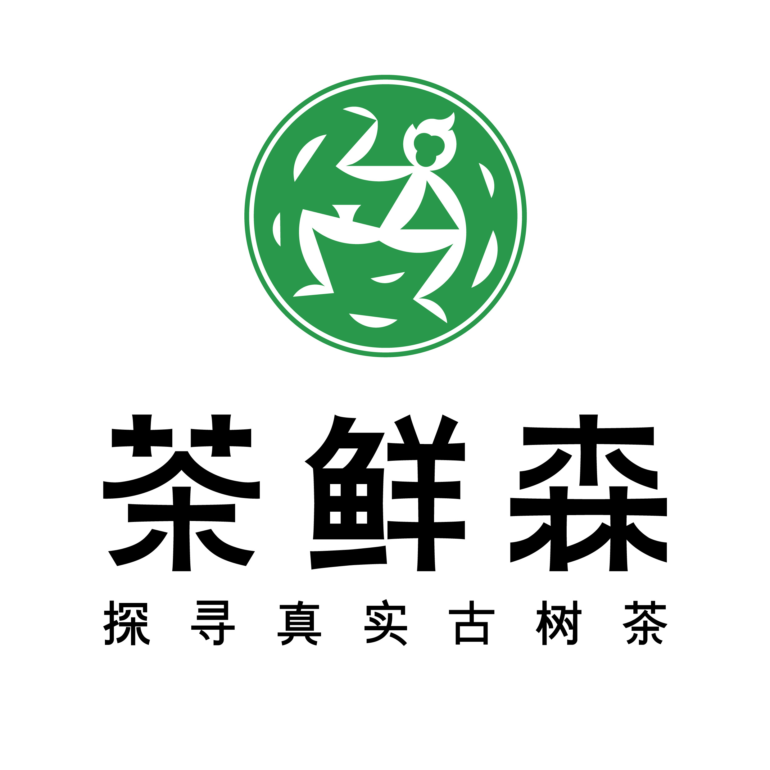 茶鲜森古树茶直供