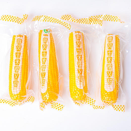 有机富硒糯玉米2穗/袋 500g+｜黑龙江青冈县 商品图0