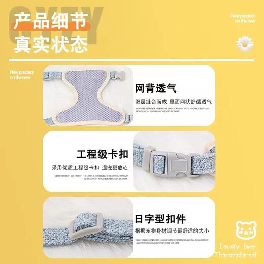 兴宁猫咪蕾丝胸背 商品图4