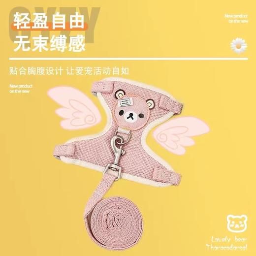 兴宁猫咪蕾丝胸背 商品图1