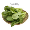 【本地蔬菜】小青菜500g 商品缩略图0