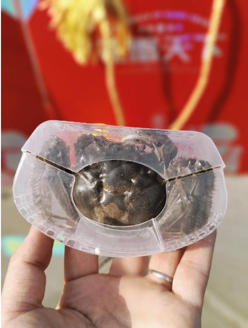 河蟹礼盒 商品图0