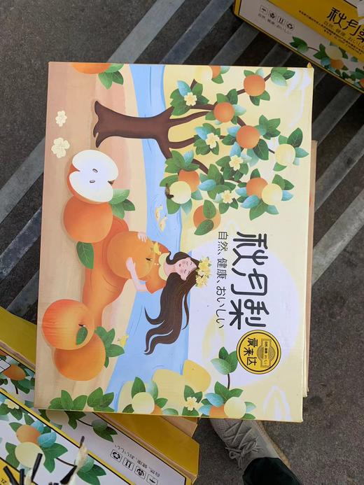 秋月梨礼盒【LY】 商品图0