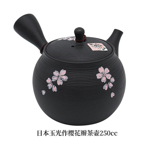 日本进口常滑烧樱花花瓣手工功夫单壶急须带滤网侧把壶 商品图6