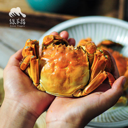 有机大闸蟹（买一箱送一只2.5两母蟹，4号发货，且最后一次发货） | 合作生产*Organic Hairy crab | Partner Production 商品图3