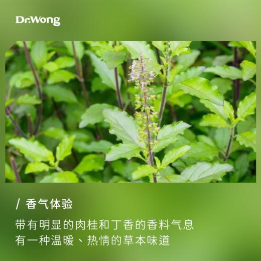 神圣罗勒 单方精油 商品图1