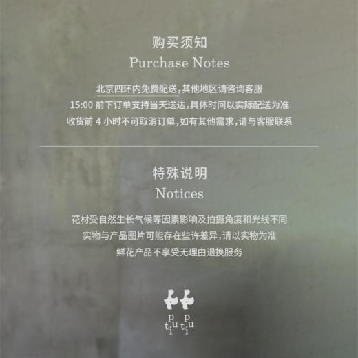 兜兰 PaPhboedilum 商品图11