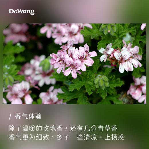 波旁天竺葵 单方精油 商品图1