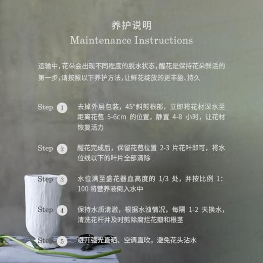 安格尔之泉La Source 商品图3