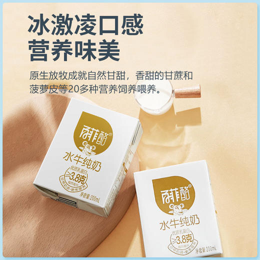 百菲酪水牛奶（200ml x 12盒） 商品图2
