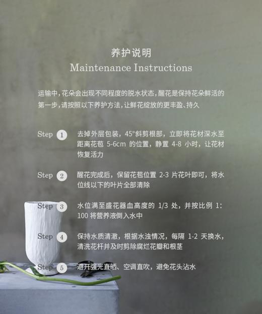 油画向日葵 商品图3