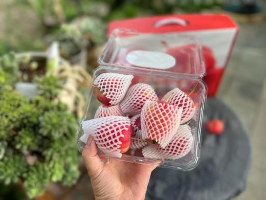 香妃海棠果 苹果  酸甜可口（新疆乡村振兴） 商品图4