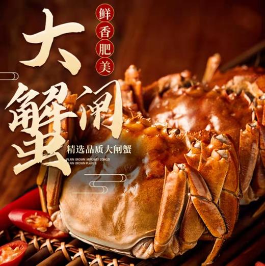 蟹之皇【⁫正宗阳澄湖大闸蟹 蟹卡 】‫鲜活螃蟹卡 商品图0