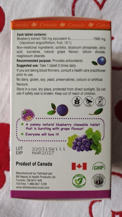 Bill 蓝莓儿童咀嚼片90粒 （有效期至：2027年MAR） 商品图1