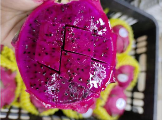 大红心火龙果3个 商品图2