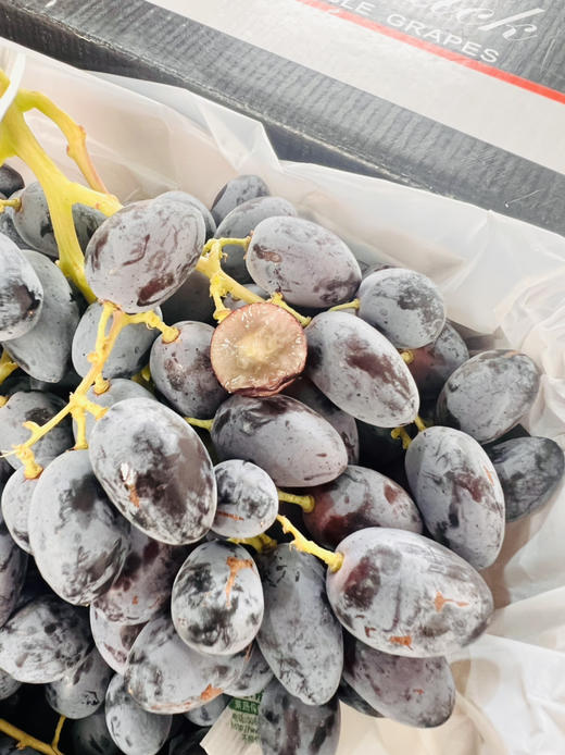 神秘梦境黑提🍇酥脆多汁、纯甜无酸 商品图2