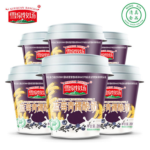 杞冠臻选 | 宁夏雪泉牧场 蓝莓青稞酸奶 200g*12盒/箱 风味发酵乳 顺丰或圆通 商品图4