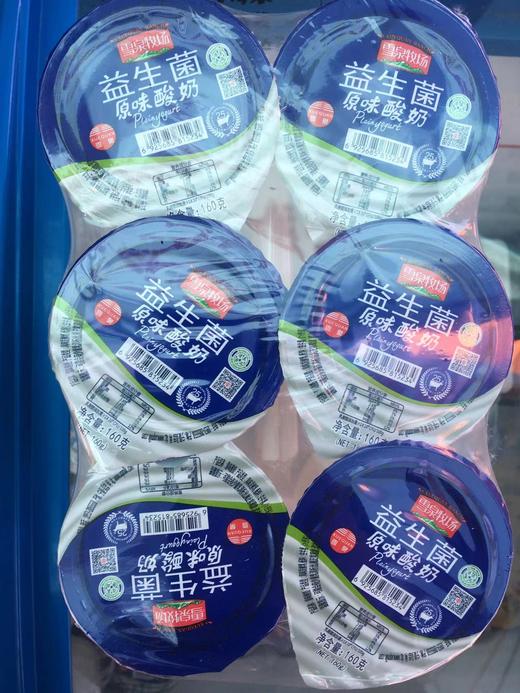 杞冠臻选 | 宁夏雪泉牧场 益生菌原味酸奶 160g*12盒/箱 风味发酵乳 牧场直发 商品图1