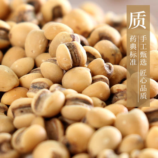 麸炒薏苡仁 药食同源康美中药饮片 独立小包装 商品图2