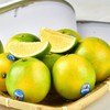 【2025年实建橙】酸甜多汁 果皮光滑 颜色偏绿 皮薄多汁 脆嫩清甜 果肉紧实 6种规格任选 商品缩略图3