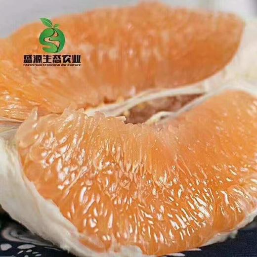 黄金蜜柚1.8-3.8斤（每周一发货）【LY】 商品图0