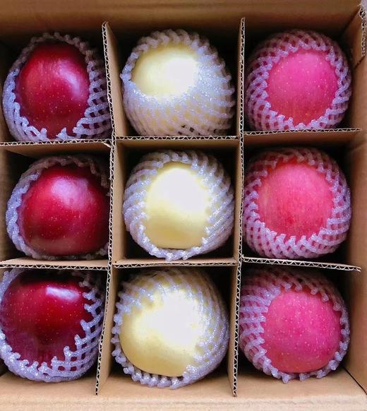 【现货】产地直发花牛+ 黄元帅+红富士组合装发货    一箱包装品尝三种口味 商品图4